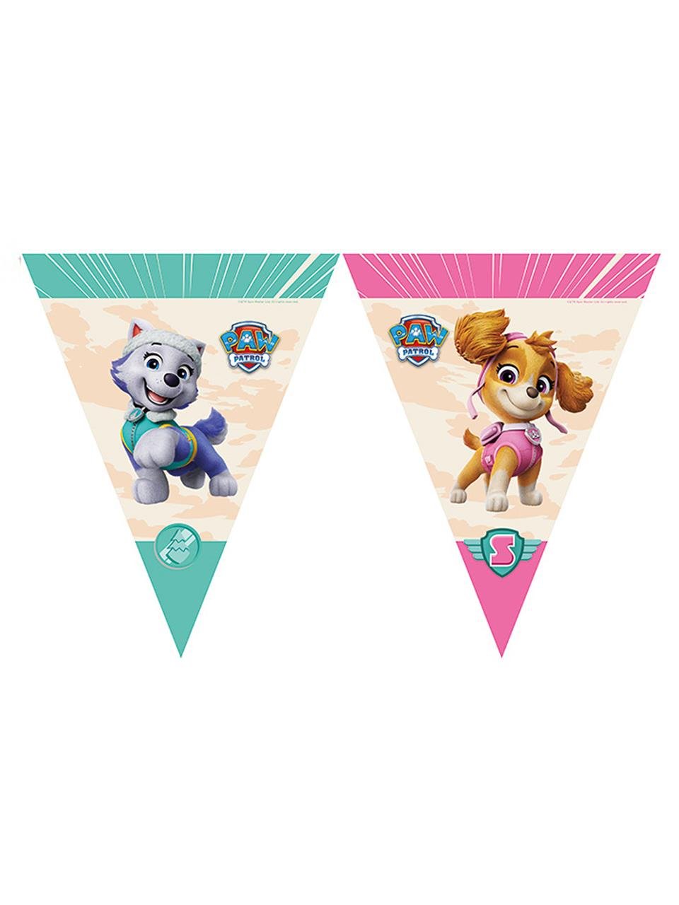Paw Patrol Sky Temalı Bayrak Flama Asılabilir Doğum Günü Parti Süsü