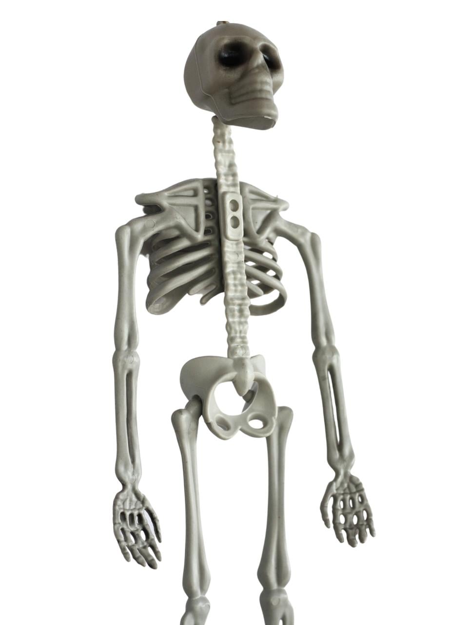 Cadılar Bayramı iskelet Figürlü Asılabilir Halloween Parti Dekoru