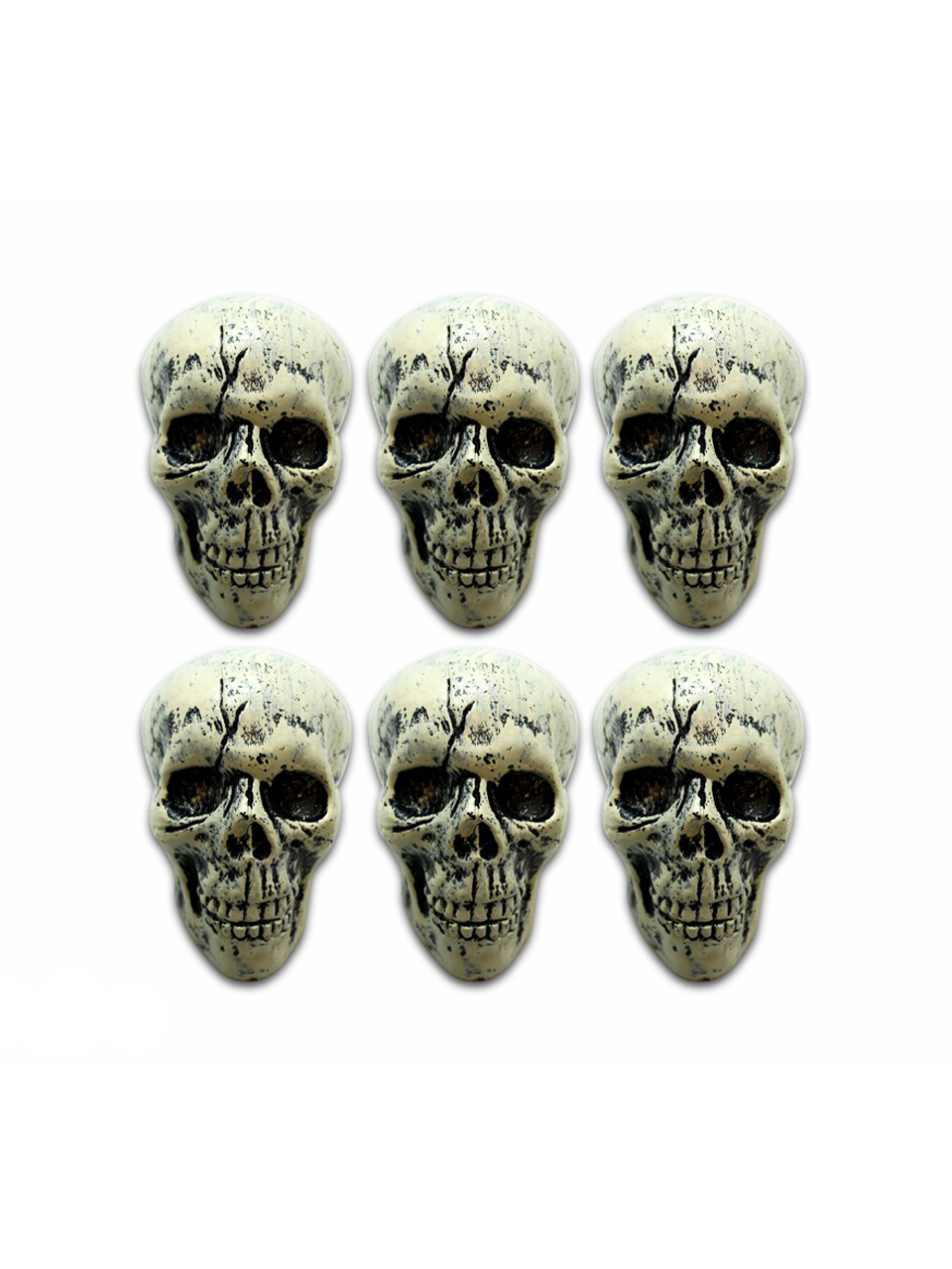 Cadılar Bayramı Filede Dekoratif Kuru Kafa Halloween Parti Süsü 6'lı