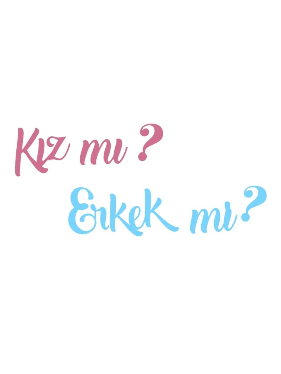 Cinsiyet Belirleme Partisi Kız Mı Erkek Mi Yazılı Kaligrafi Banner Lacivert