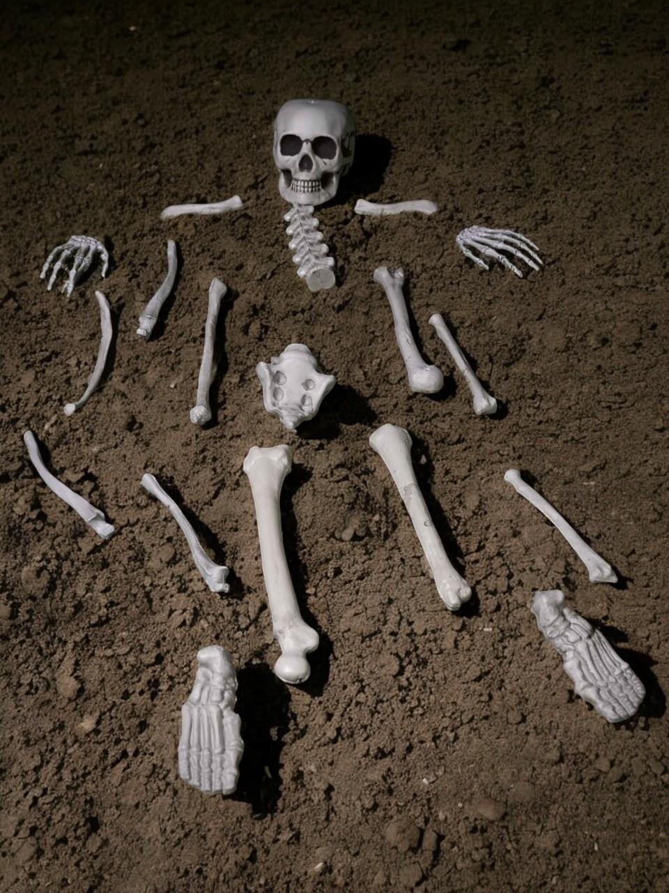 Cadılar Bayramı İskelet Parçaları Halloween Parti Dekoru 19'lu