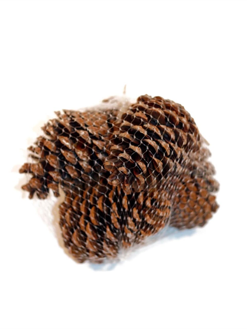 Filede Naturel Kozalak 5'li