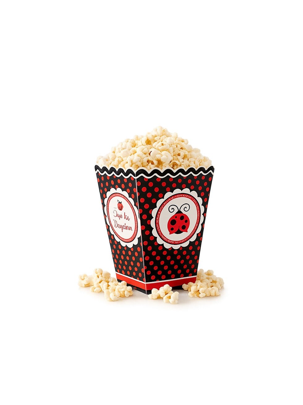 Uğur Böceği Temalı Karton Mısır Kutusu Popcorn Kutusu 8'li - Mısır Kutuları | Parti Adresi