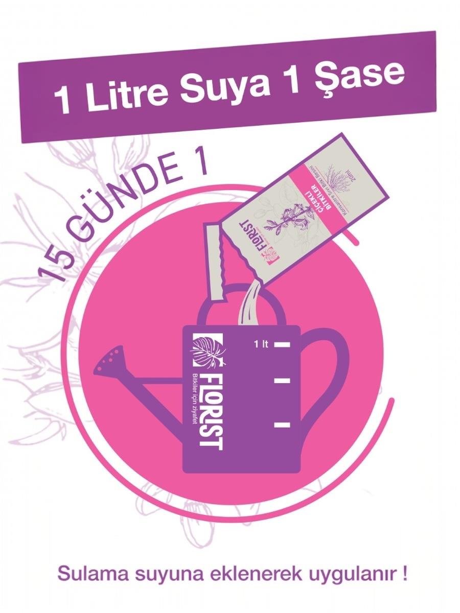 Florist Şaseli Çiçekli Bitkiler İçin Sıvı Bitki Besini