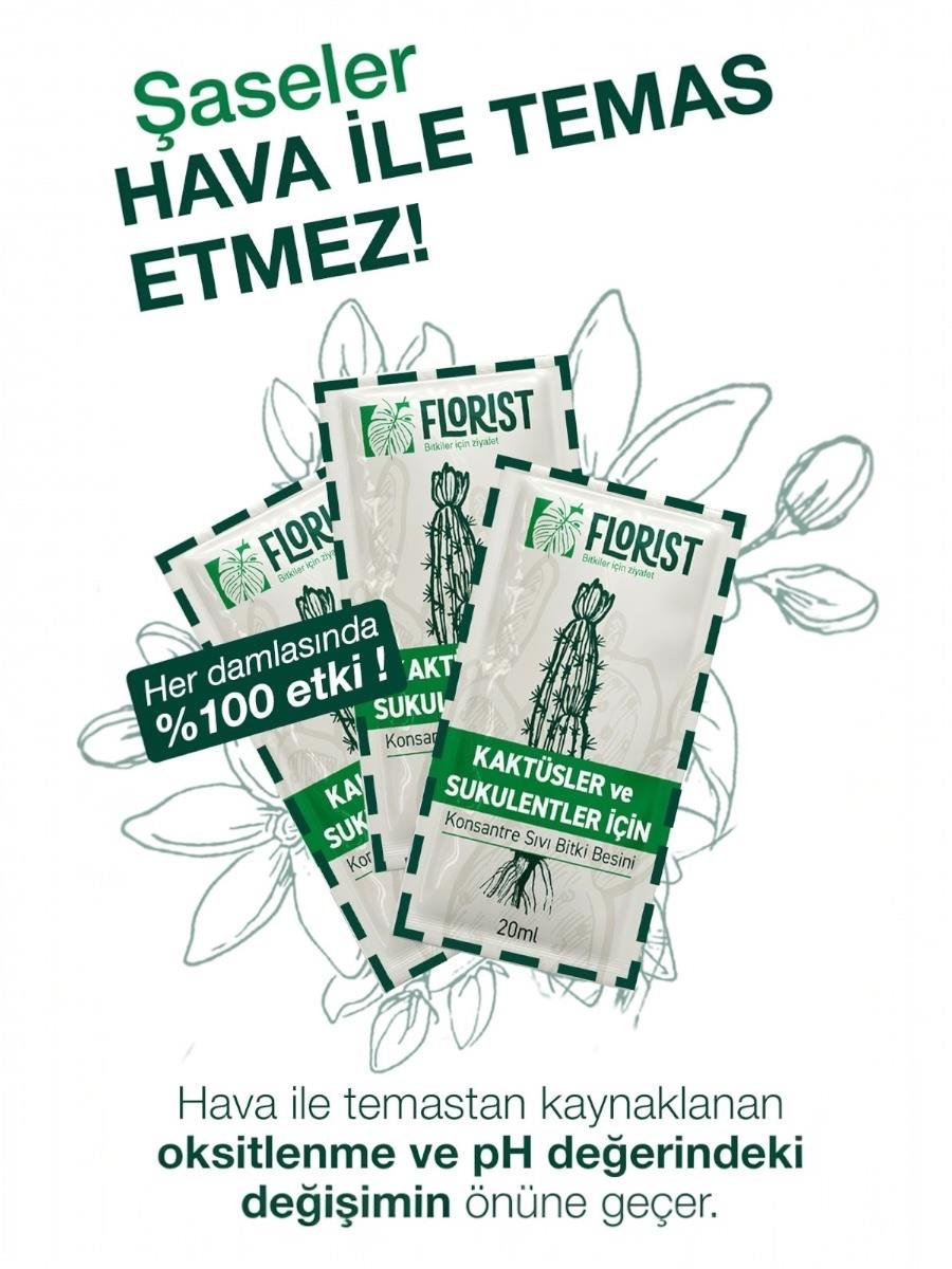 Florist Şaseli Kaktus ve Sukulent Bitkiler İçin Sıvı Bitki Besini