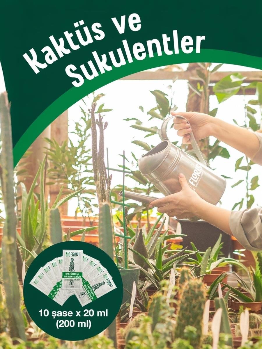 Florist Şaseli Kaktus ve Sukulent Bitkiler İçin Sıvı Bitki Besini