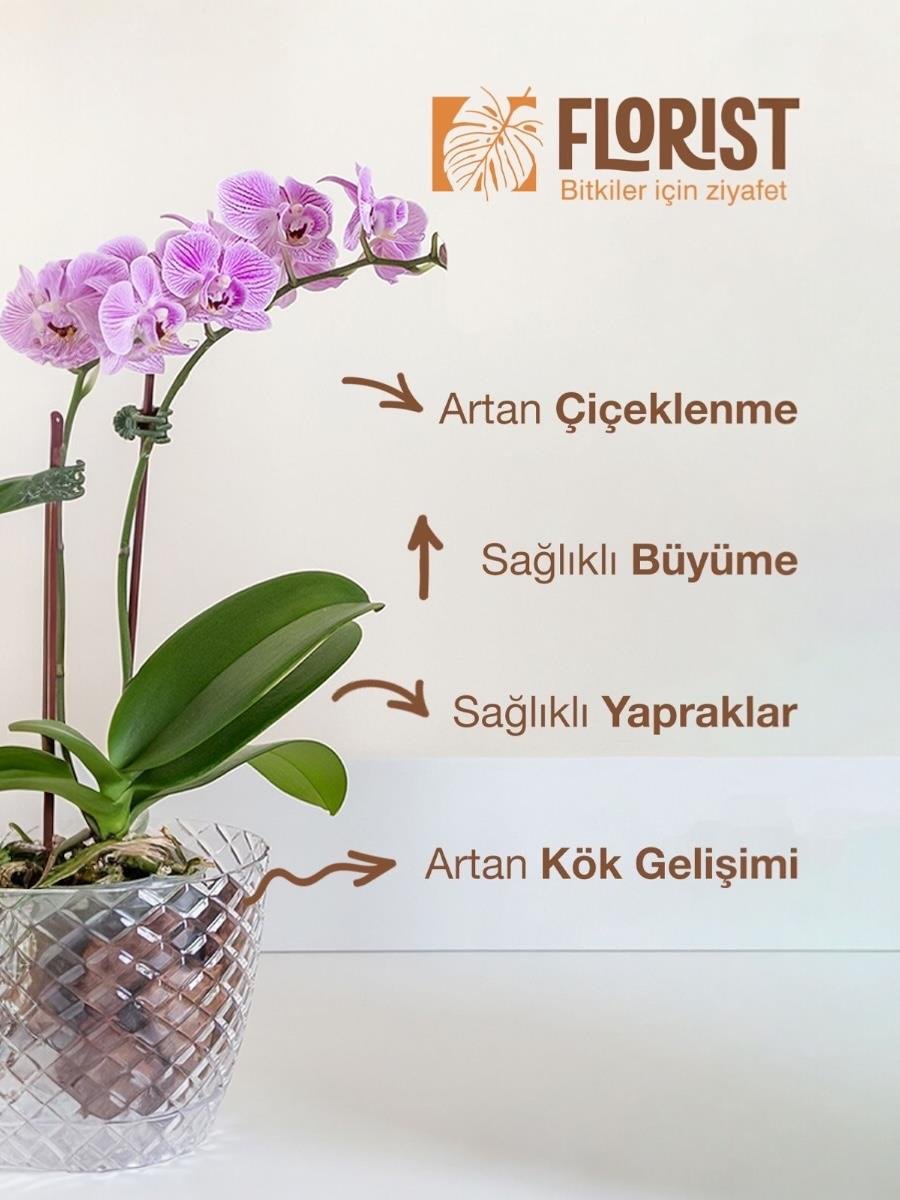 Florist Şaseli Orkideler İçin Sıvı Bitki Besini
