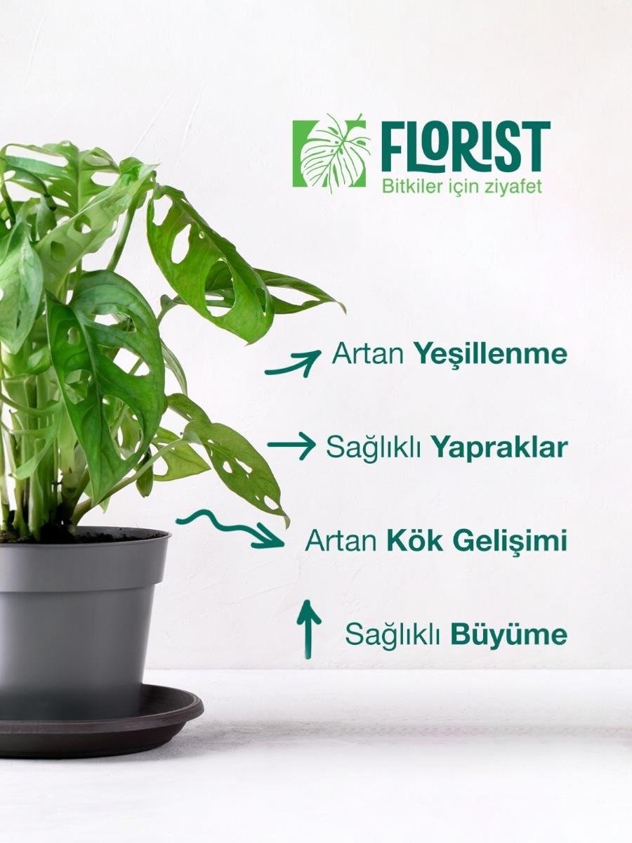 Florist Şaseli Yeşil Yapraklı Bitkiler İçin Sıvı Bitki Besini