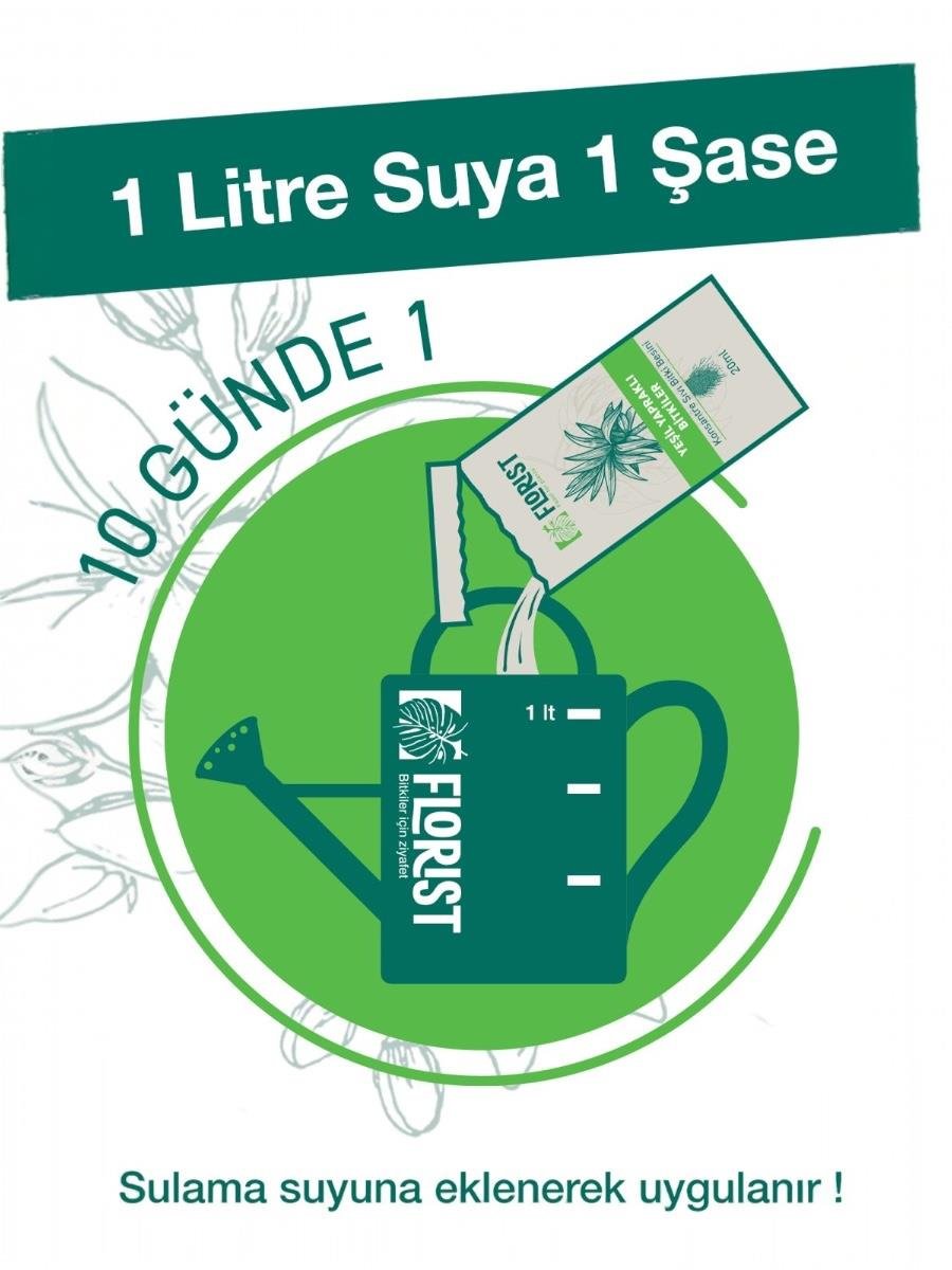 Florist Şaseli Yeşil Yapraklı Bitkiler İçin Sıvı Bitki Besini