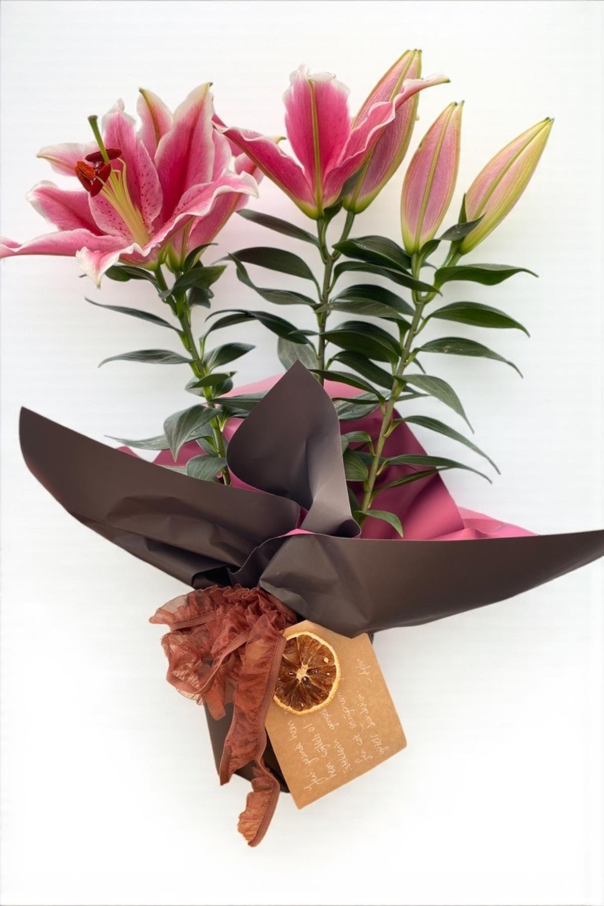 Kokulu Lilyum Saksı Çİçeği- Kazablanka Zambak 