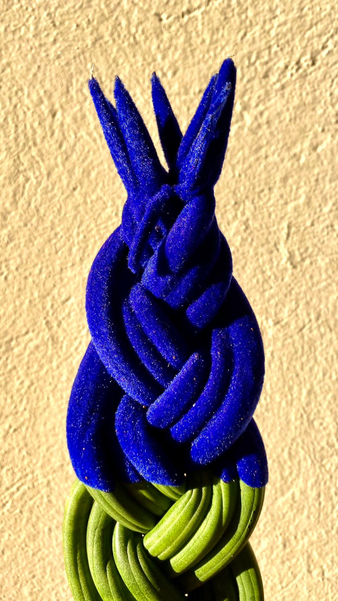 Mavi Kadife Örgülü Sansevieria Cylindrica (Paşa Kılıcı) 