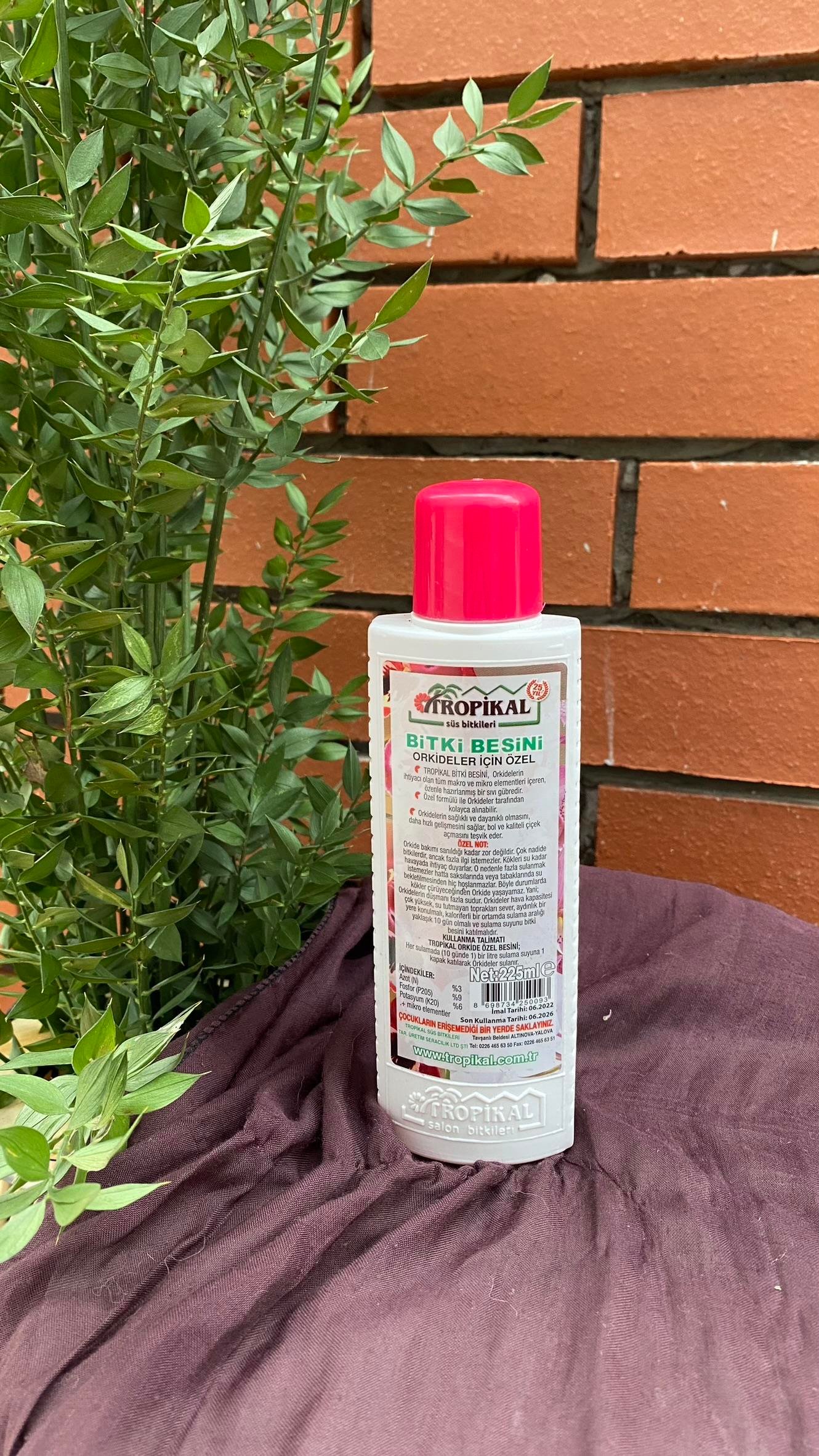 Tropikal Orkide Bitki Besini