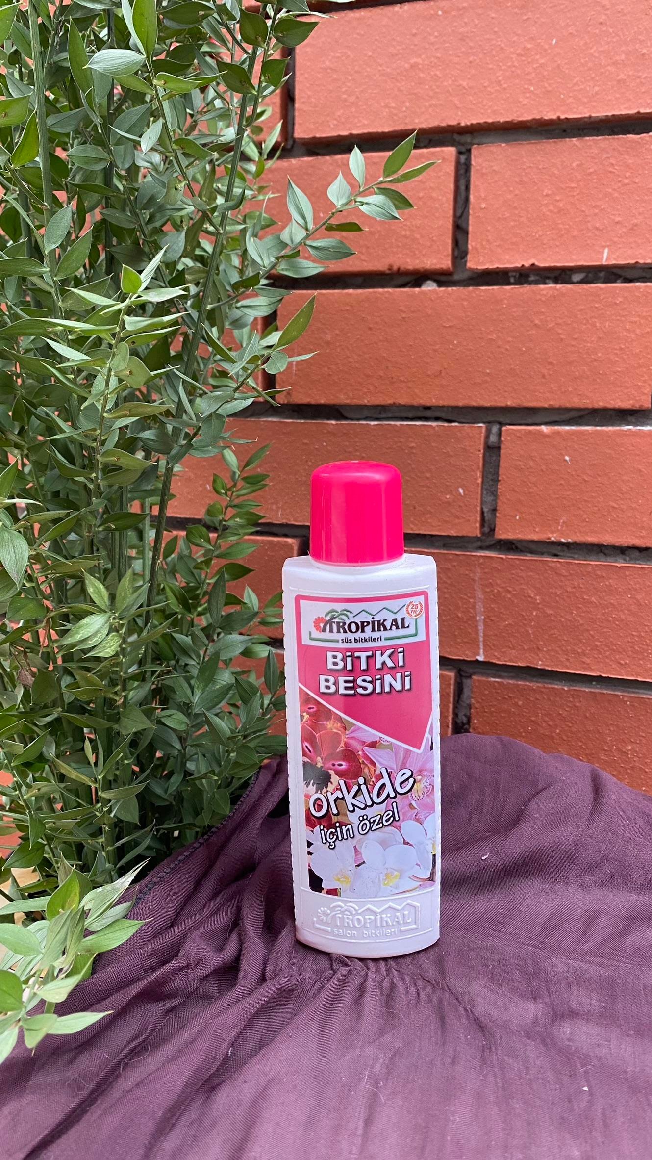 Tropikal Orkide Bitki Besini