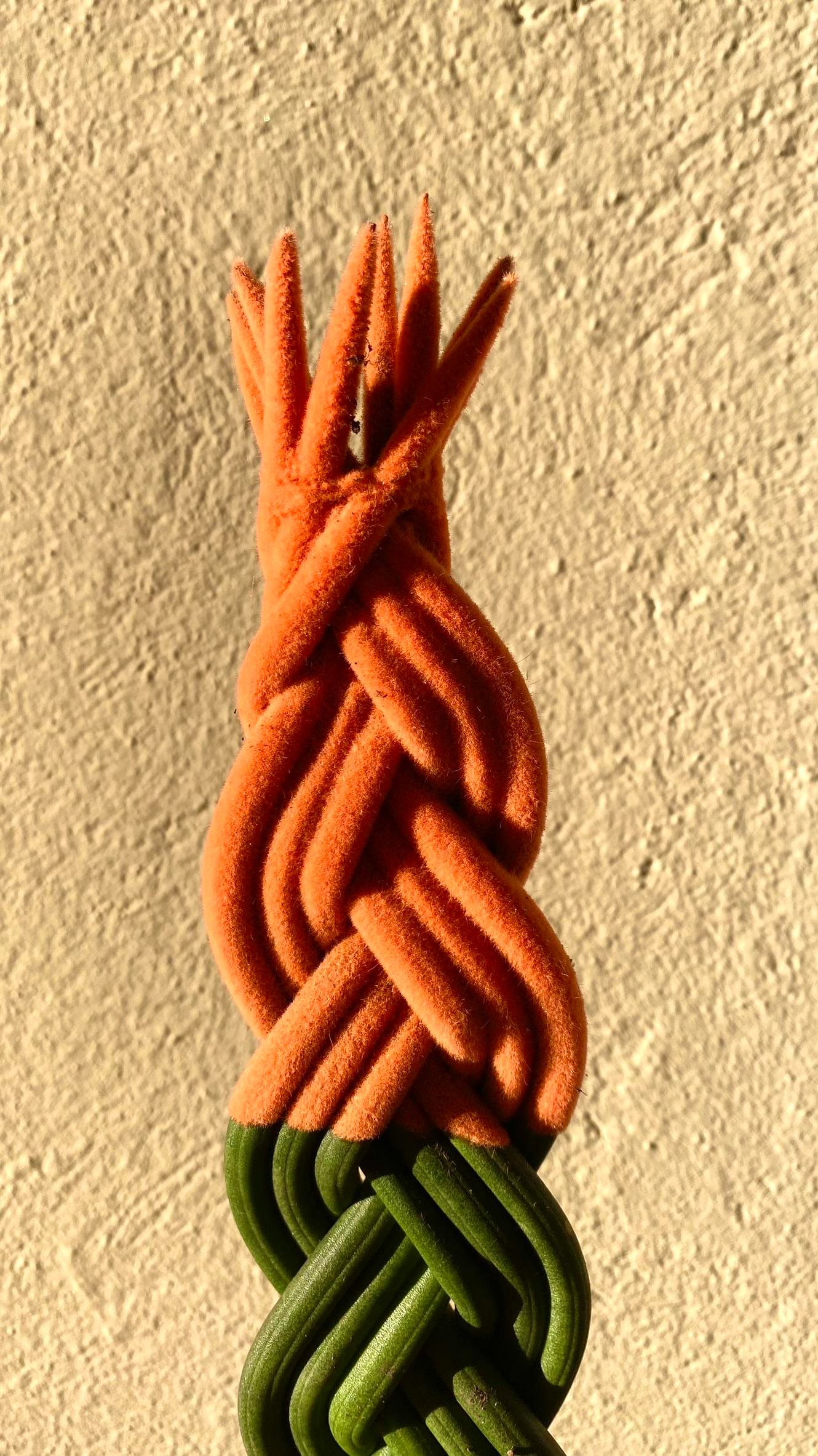 Turuncu Renkli Kadife Örgülü Sansevieria Cylindrica (Paşa Kılıcı) 