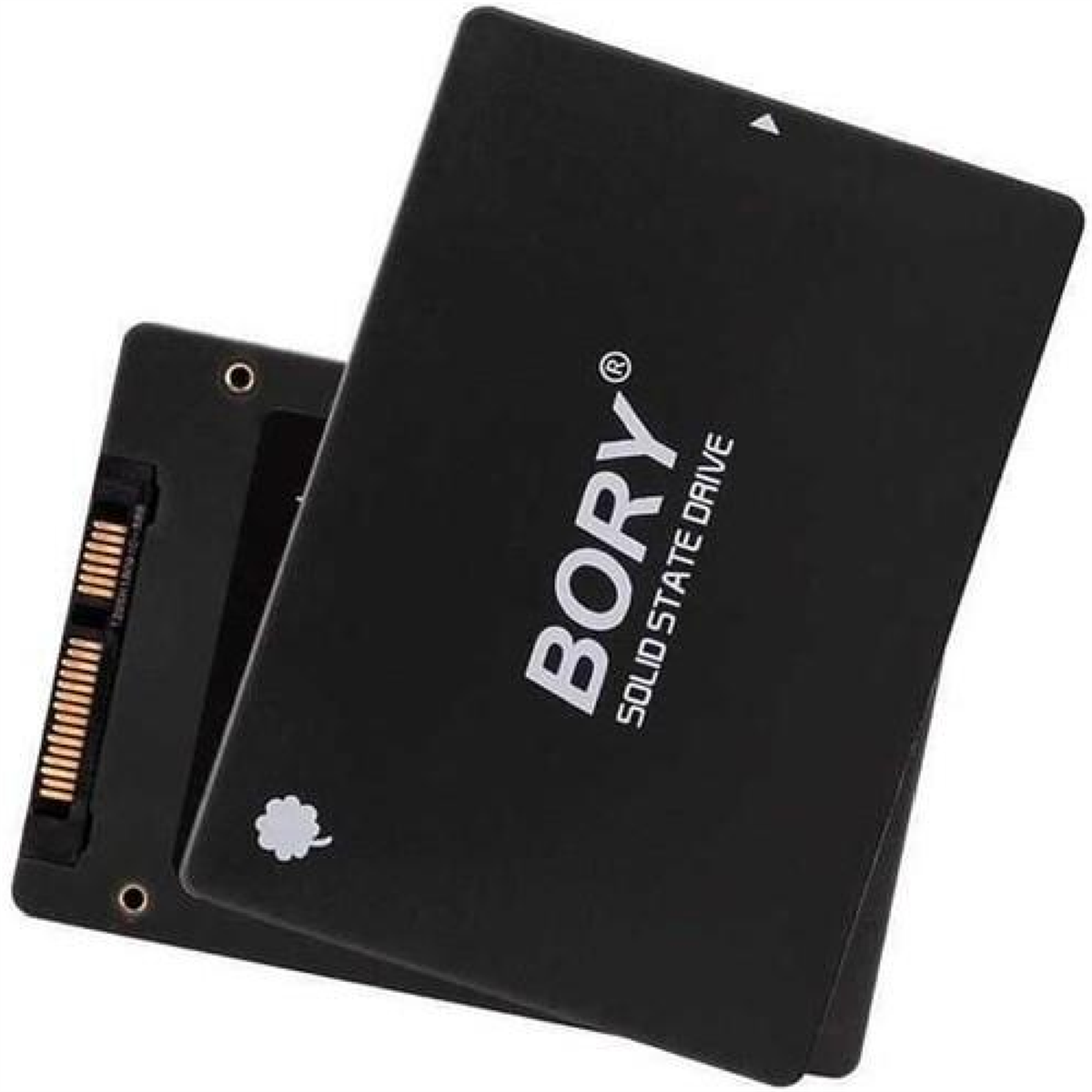 Bory 256 Gb SATA3 R500-C256G SSD 550/510 MBS Ssd Harddisk