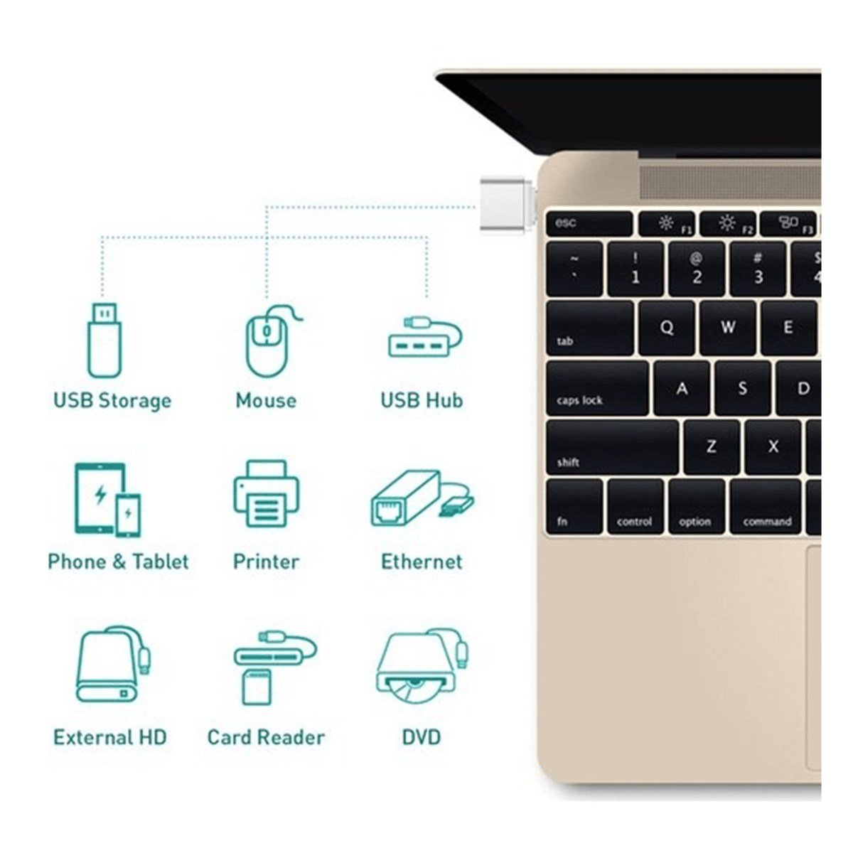 DAYTONA DR01 TYPE-C -USB3.0 OTG USB FLASH DRIVER
