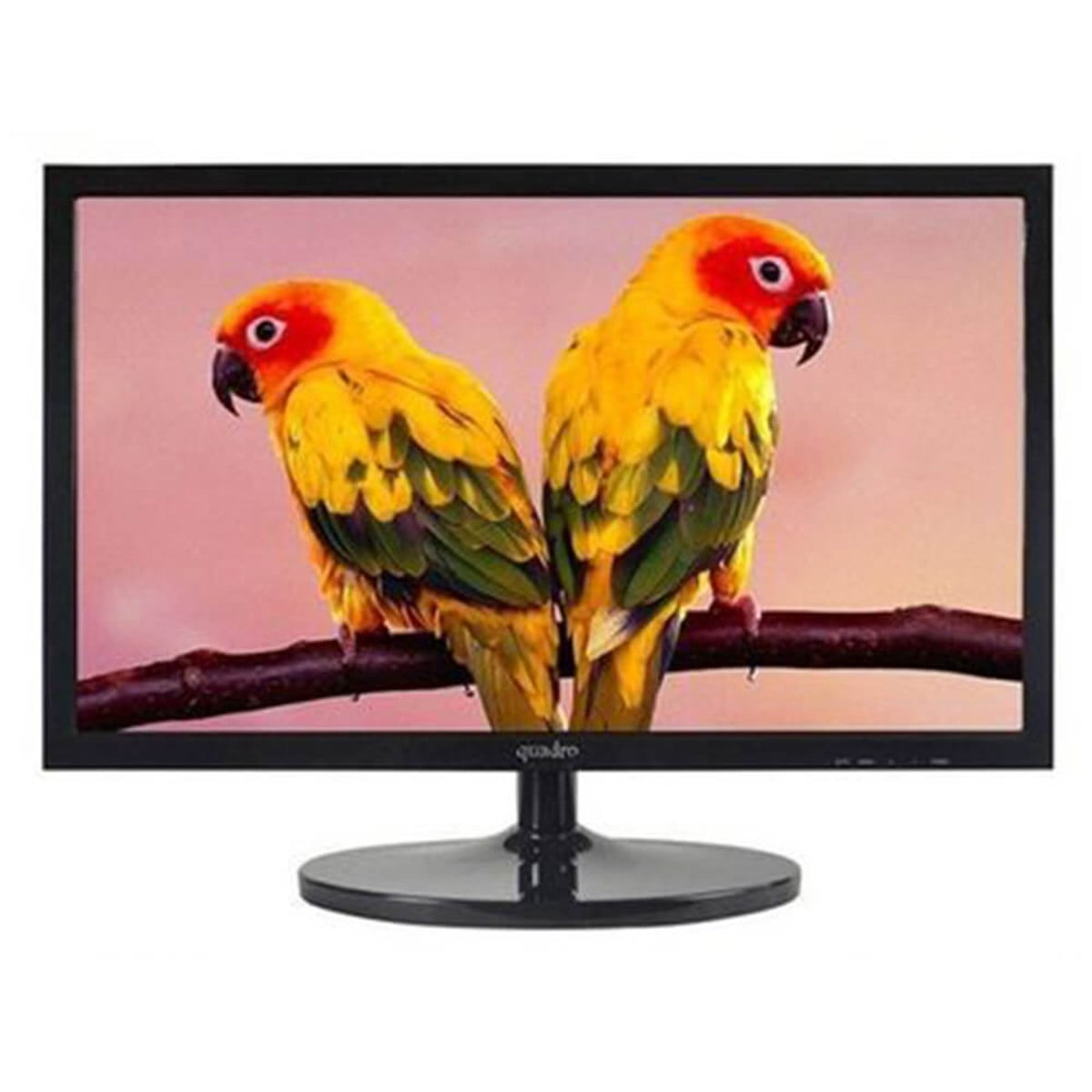 QUADRO 21.5'' 5ms.VGA, VESA PARLAK SİYAH 1920x1080