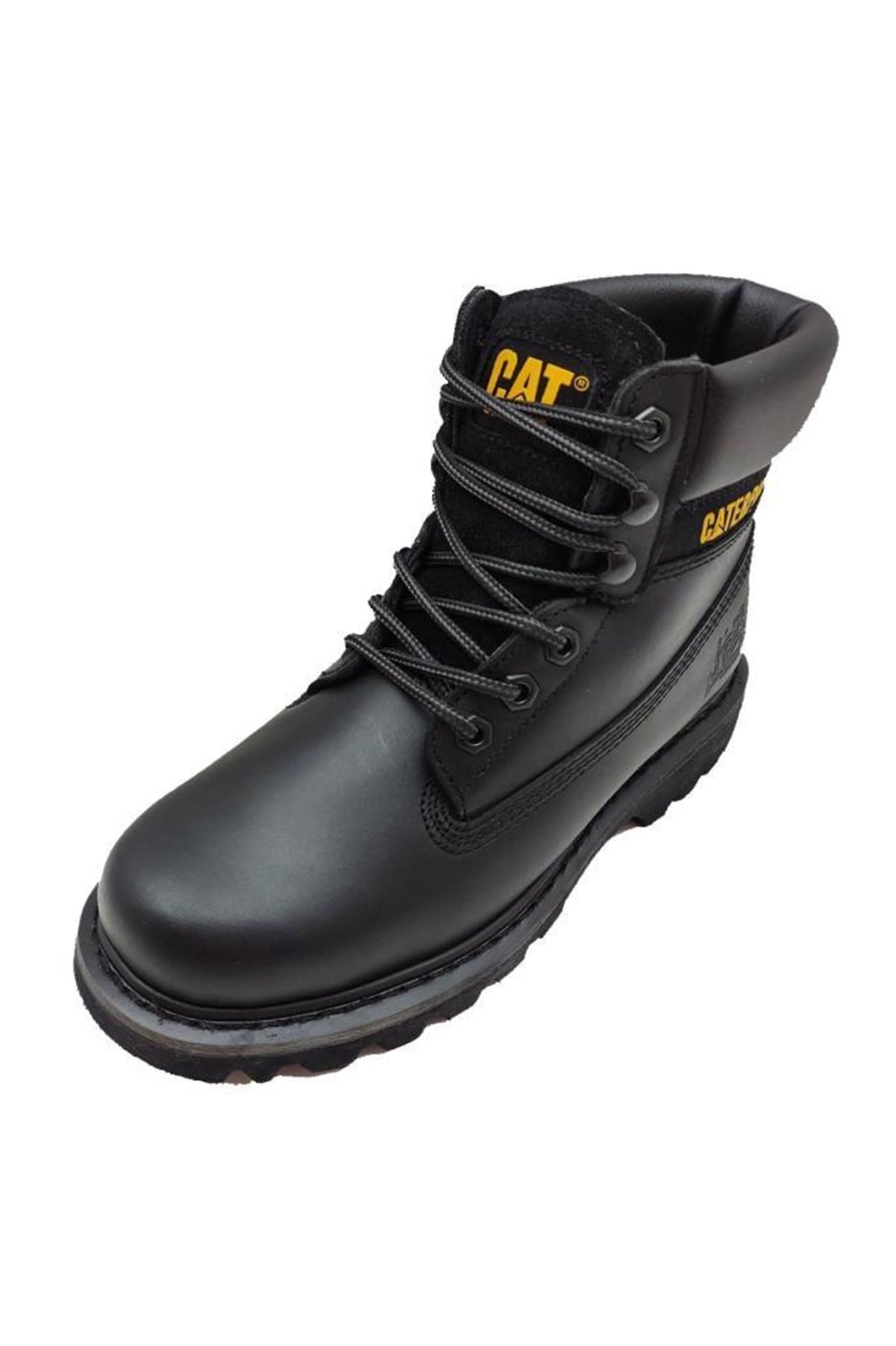 Cat Colorado Unisex Bot