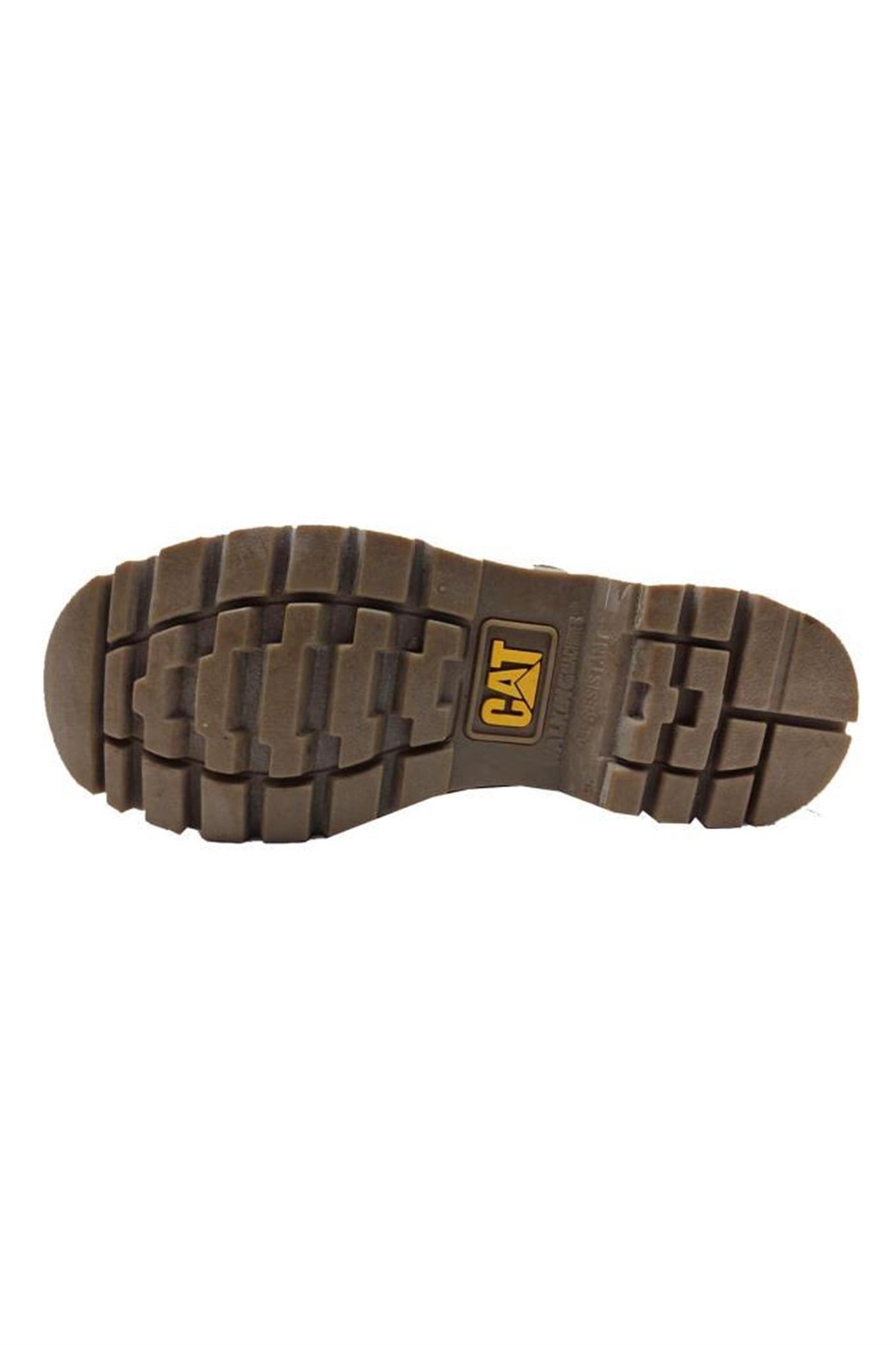 Cat Colorado Unisex Bot