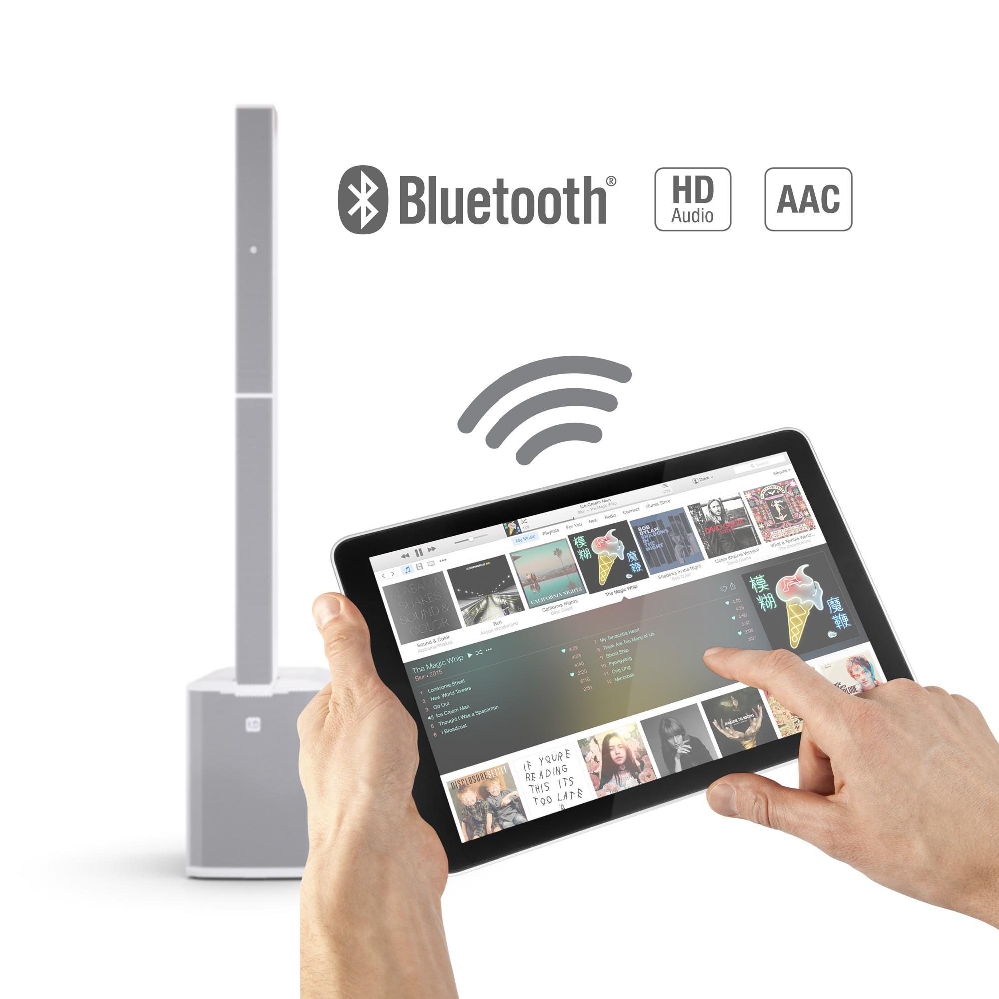 LD Systems MAUI28G3W PA COLUMN SİSTEM