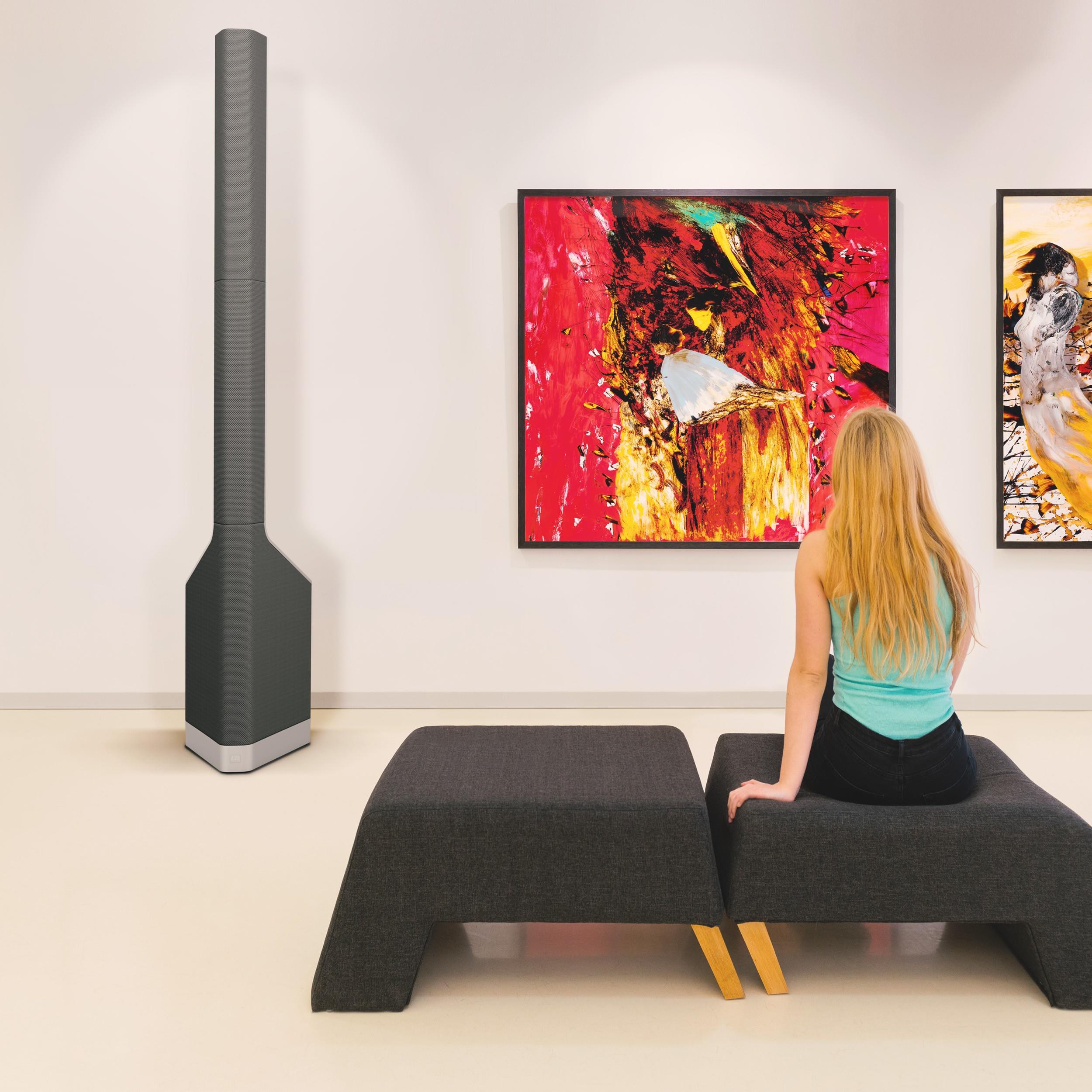 LD Systems MAUIP900B COLUMN PA SİSTEM