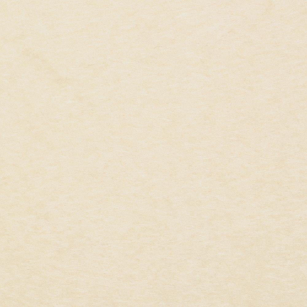 Alpaka Mantoluk Krem 01