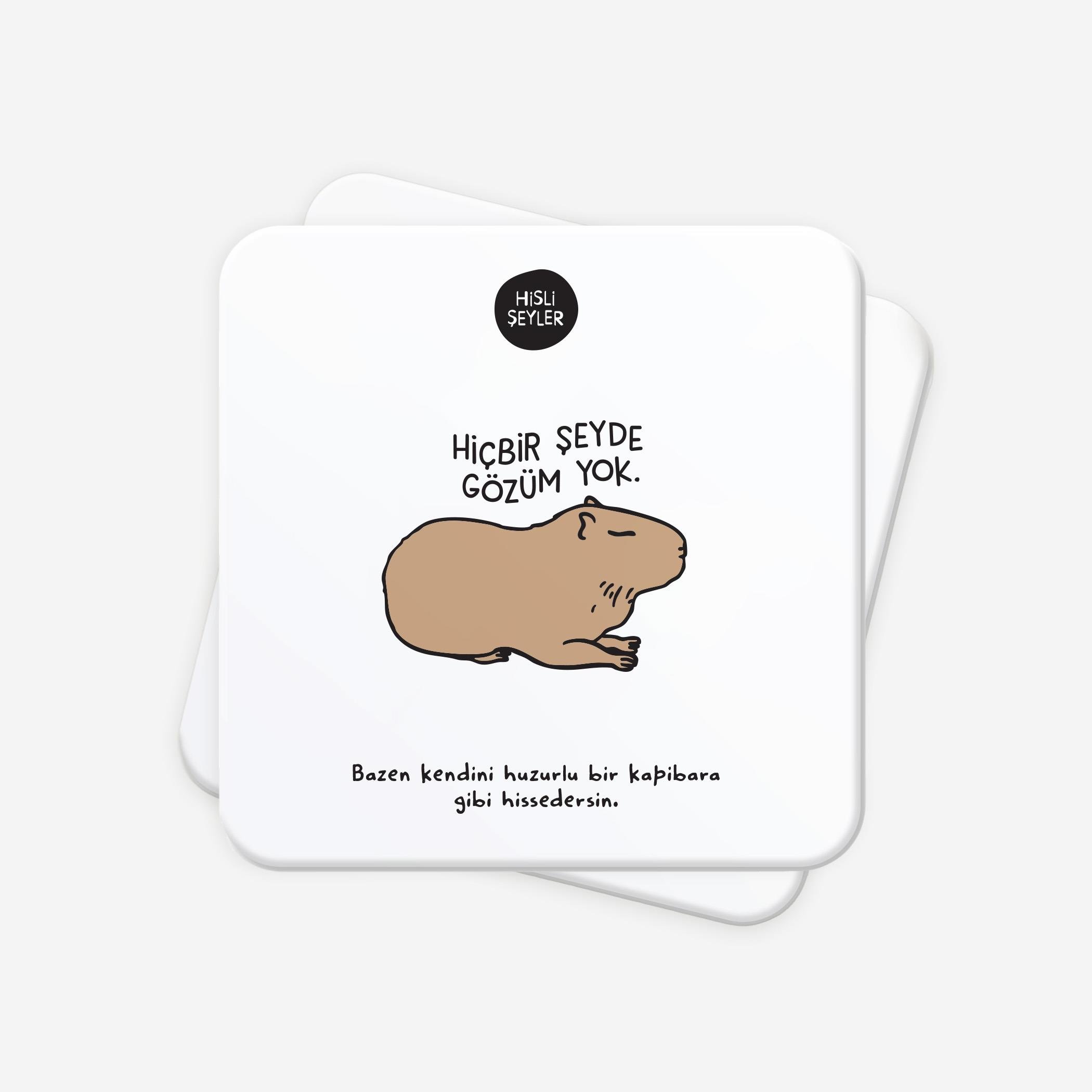 Hisli ŞeylerHiçbir Şeyde Gözüm Yok 2'li Bardak Altlığı Seti