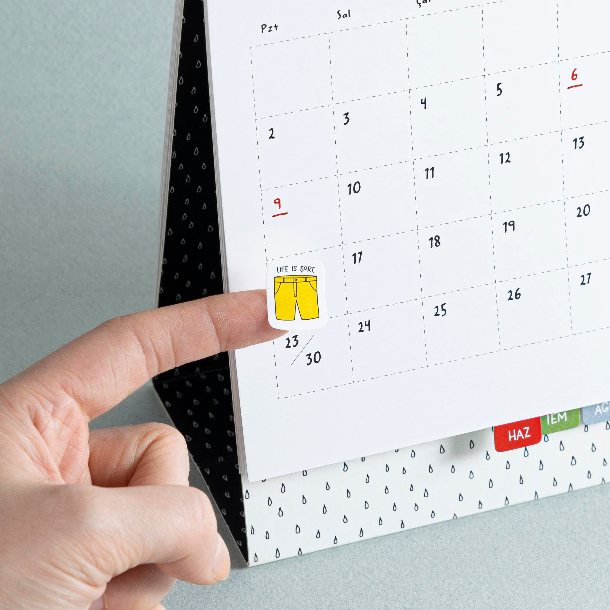 Hisli ŞeylerHisli Şeyler Çıkartma Albümü