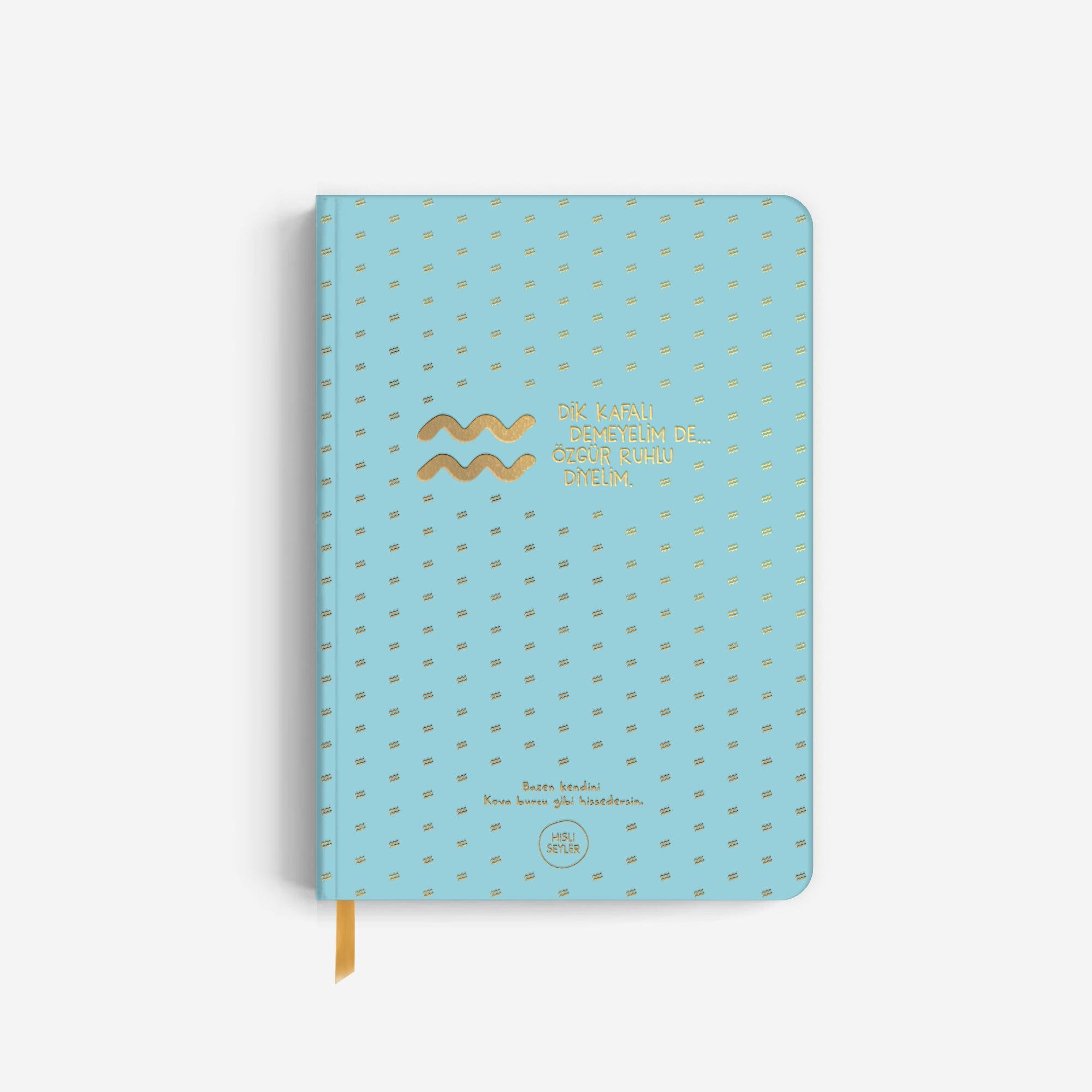 Hisli ŞeylerHisli Şeyler Kova Burcu Sert Kapaklı Defter