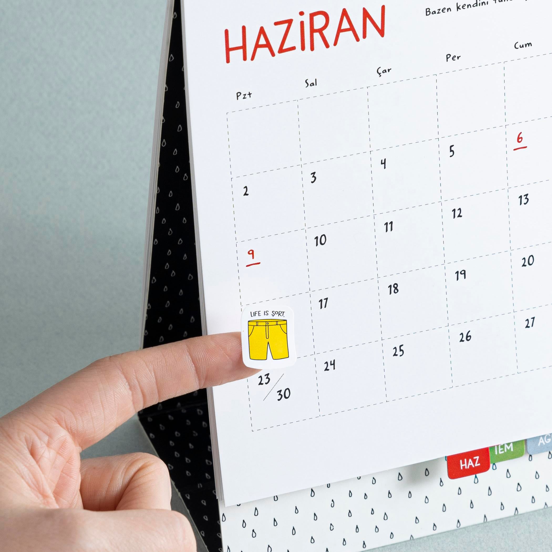 Hisli Şeyler2025 Hisli Şeyler Takvimi & Çıkartma Albümü