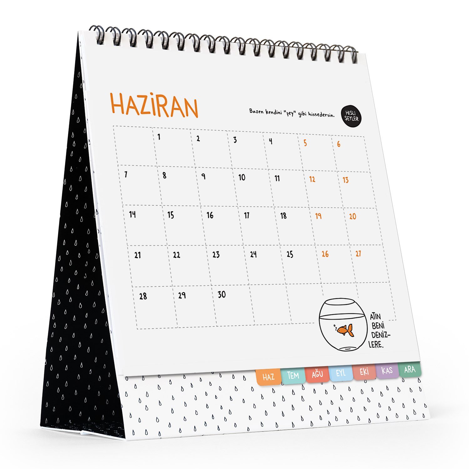 Hisli Şeyler2021 Hisli Şeyler Takvimi