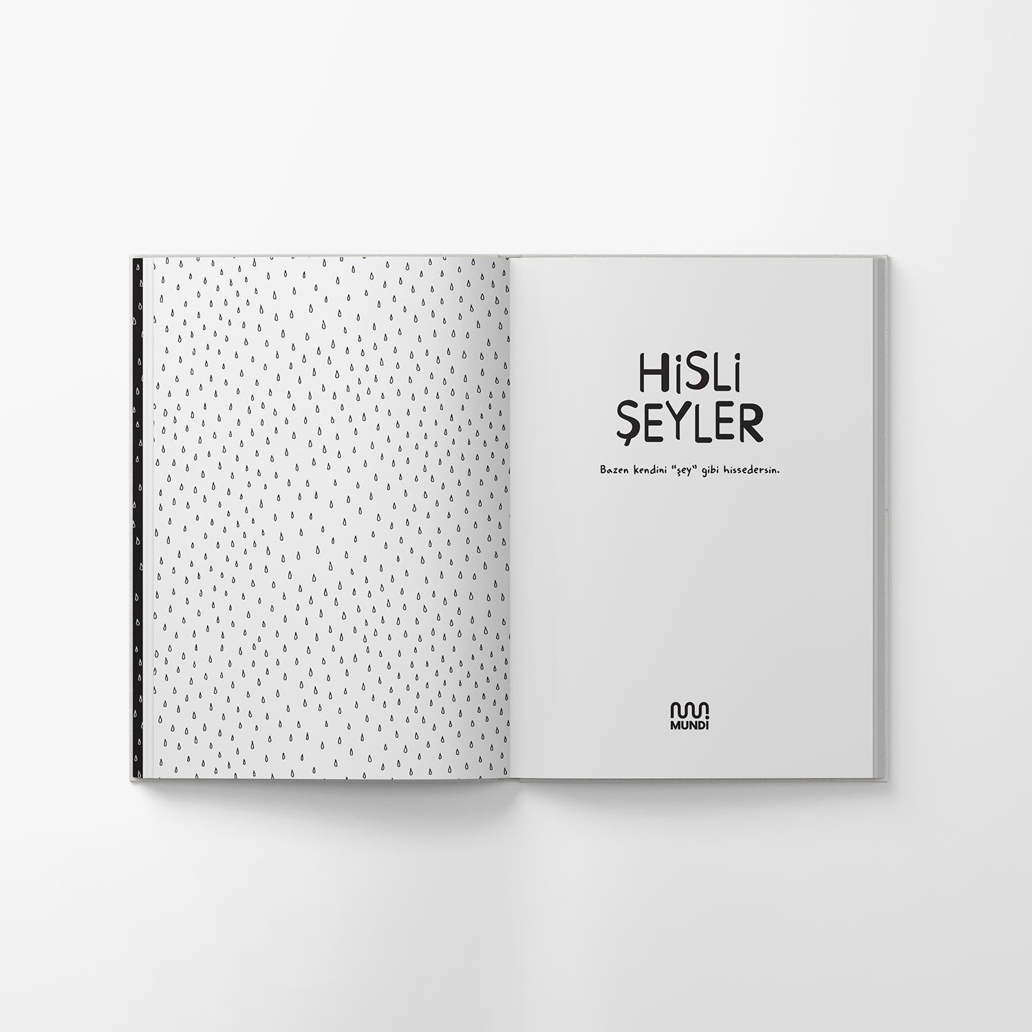 Hisli ŞeylerHisli Şeyler