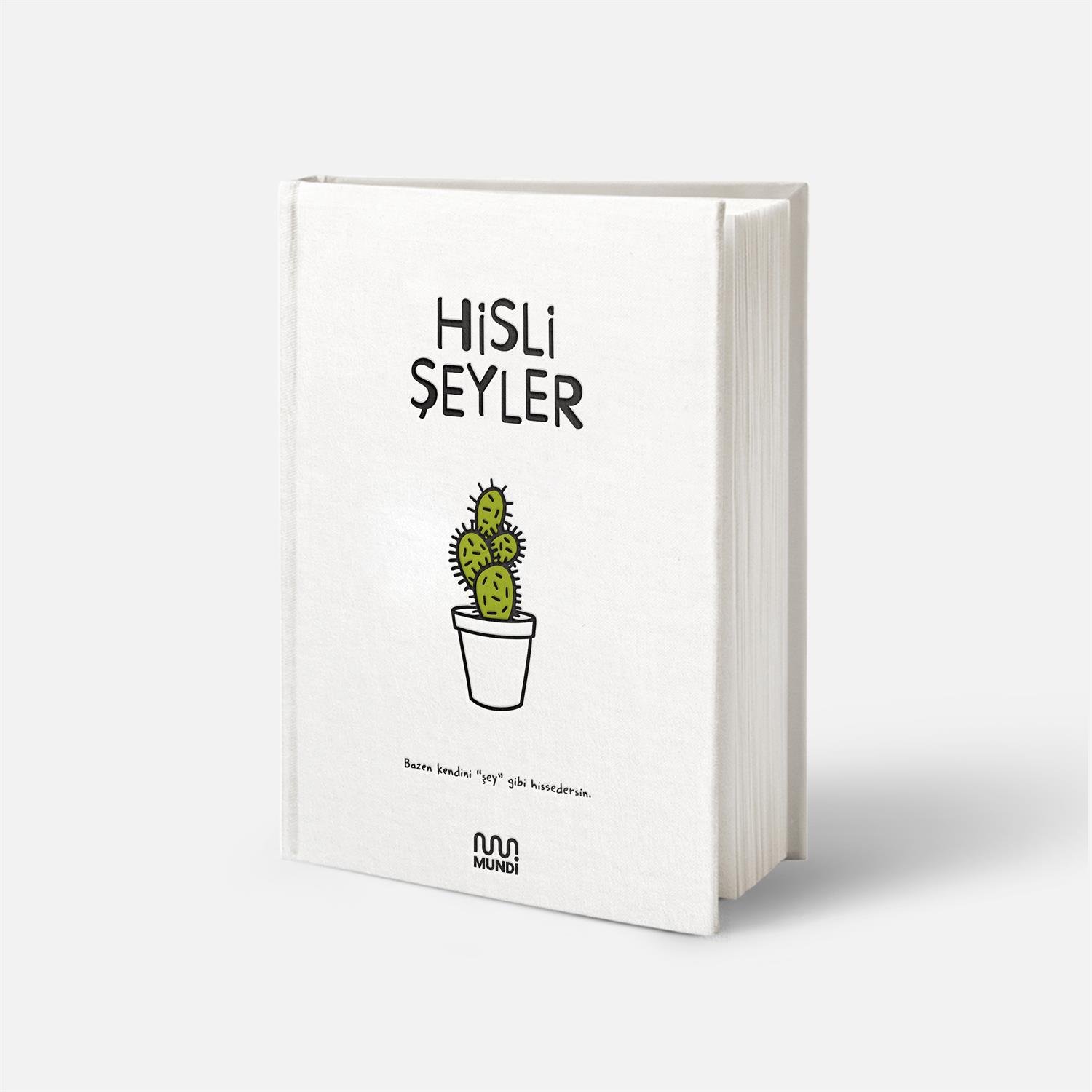 Hisli ŞeylerHisli Şeyler