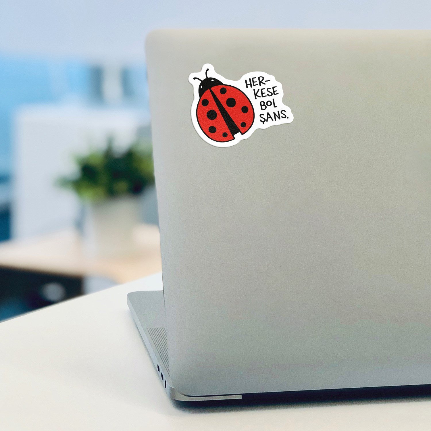 Hisli ŞeylerHisli Şeyler 4'lü Çıkartma Seti - Bol Şans