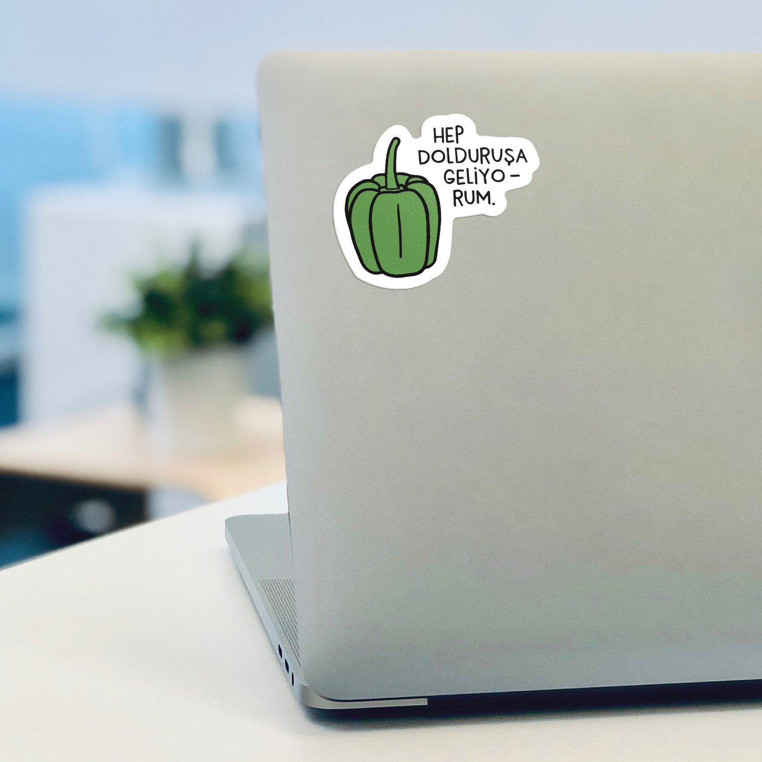 Hisli ŞeylerHisli Şeyler 4'lü Çıkartma Seti - Dolduruşa Geliyorum