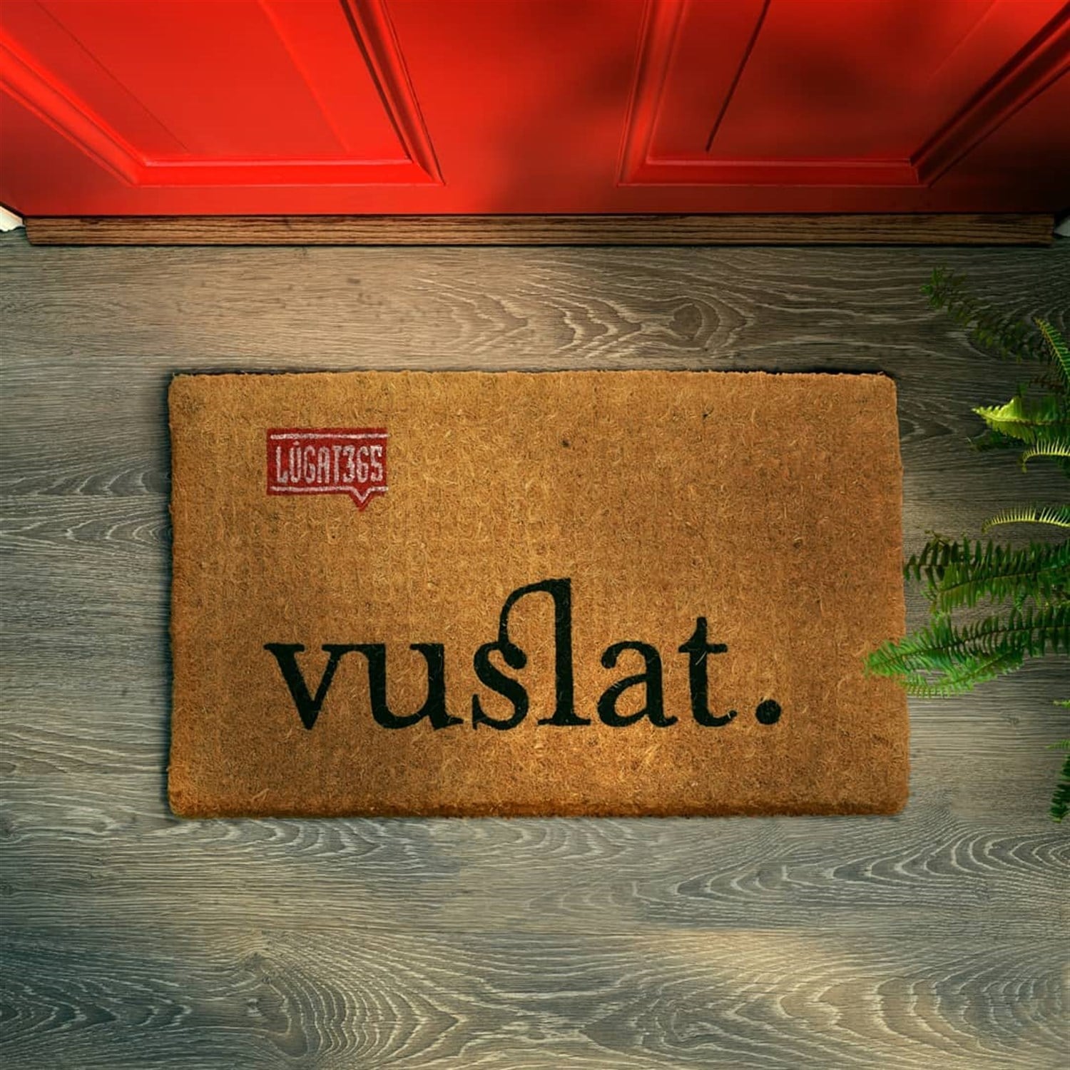 Lûgat365Vuslat Coir Paspas