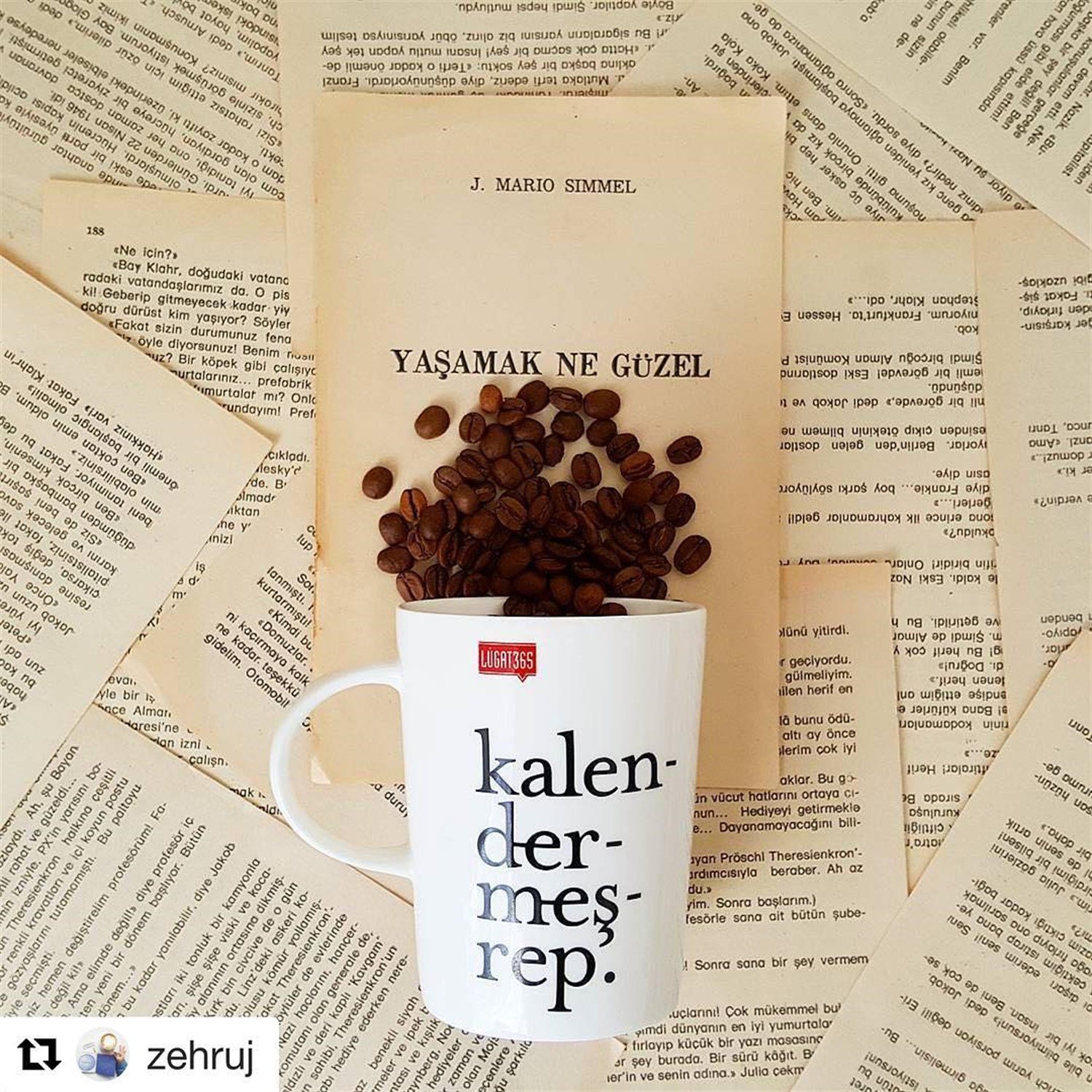 Lûgat365Lûgat365 Kalendermeşrep Porselen Kupa