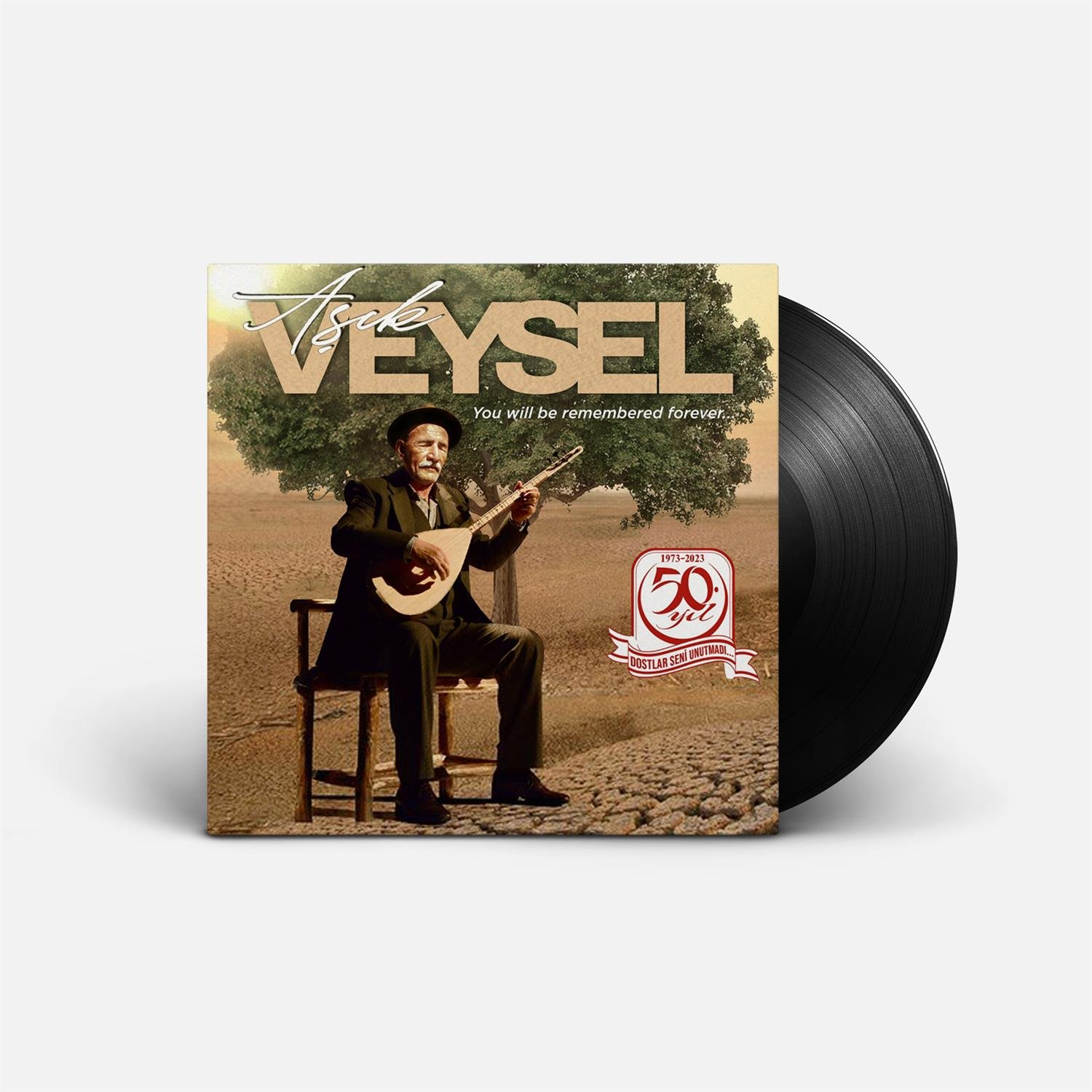Plak SeçkimizAşık Veysel | Dostlar Beni Hatırlasın