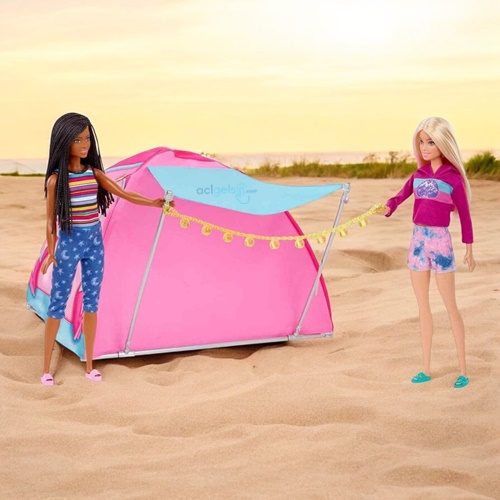 Barbie Malibu Ve Brooklyn Kampta Oyun Seti