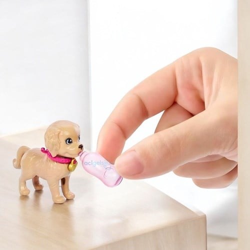 Barbie Ve Köpekçikleri Oyun Seti