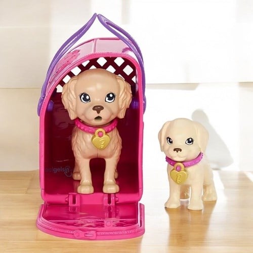 Barbie Ve Köpekçikleri Oyun Seti
