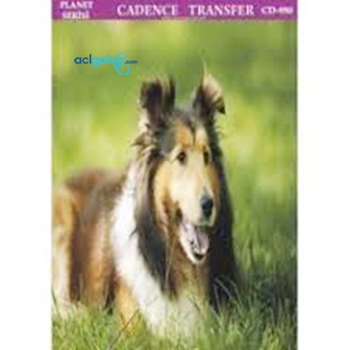 Cadence Planet Kolay Transfer 25*35 Cd-926