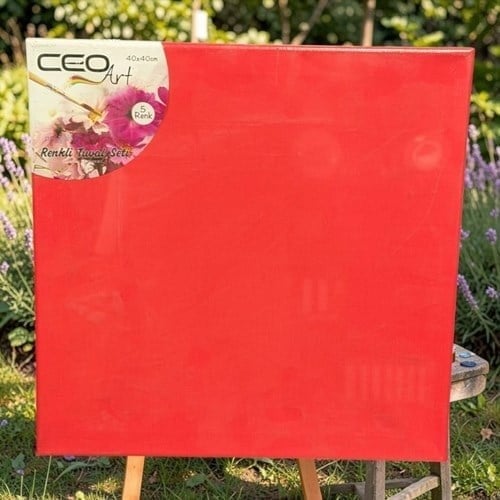 Ceoart Renkli Tuval Seti 40x40 Cm Dört Renk