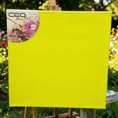 Ceoart Renkli Tuval Seti 40x40 Cm Dört Renk