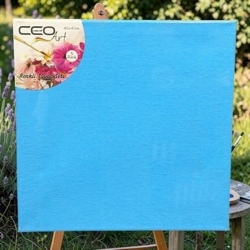 Ceoart Renkli Tuval Seti 40x40 Cm Dört Renk