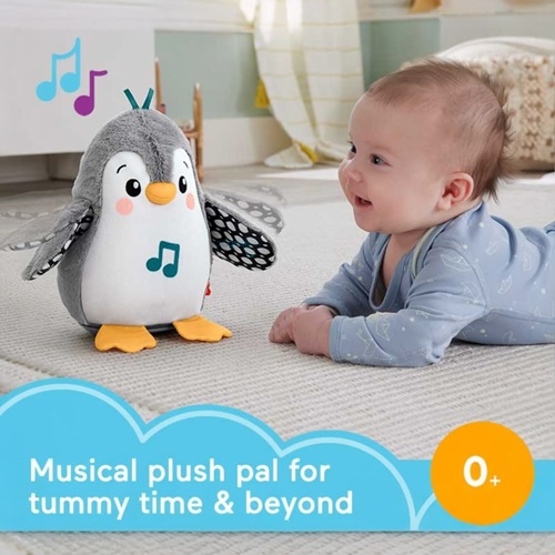 Fisher Price Flap Ve Wobble Sevimli Penguen