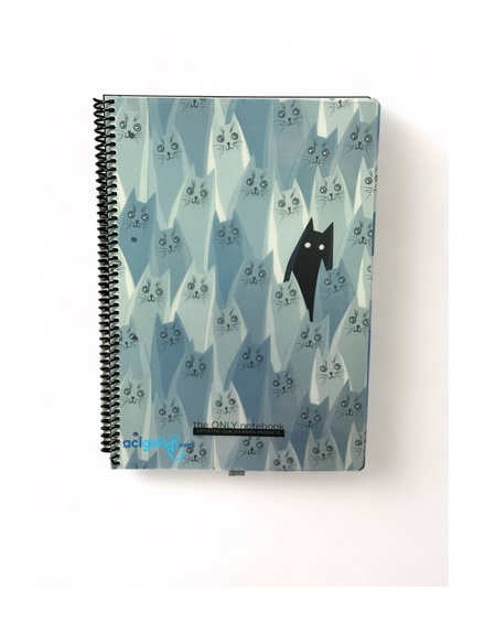 Gıpta Only Note A4 80 Yaprak Kareli Pp Kapak Defter
