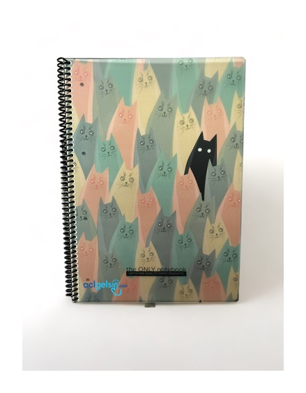 Gıpta Only Note A4 80 Yaprak Kareli Pp Kapak Defter