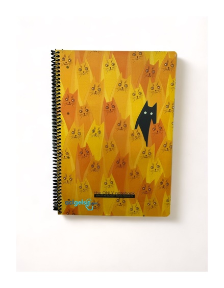 Gıpta Only Note A4 80 Yaprak Kareli Pp Kapak Defter