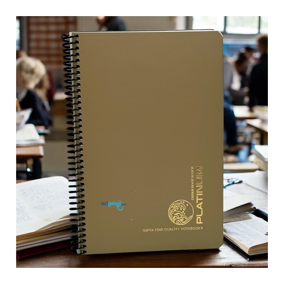 Gıpta Platinum Spralli Defter 17x24 100 Yaprak Kareli